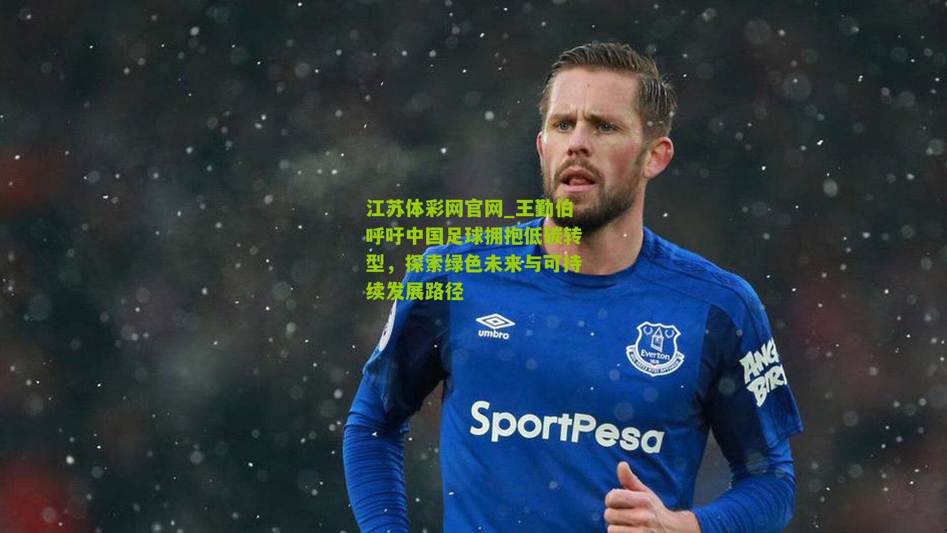 王勤伯呼吁中国足球拥抱低碳转型，探索绿色未来与可持续发展路径